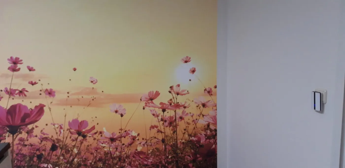 Fototapete Blumenwiese — Wandbild im Wohnraum, Malermeister Müller, Weilheim